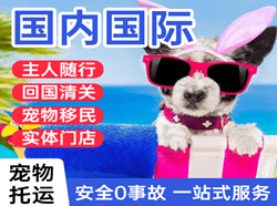 富蕴可可托海航空快运国际宠物托运 【国